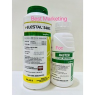 300G Elestal 54WG SYNGENTA (A.i Spiropidion 30% + Acetamiprid 24%) + Spray Adjuvant Hasten