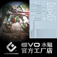 Evo Water Decal MG DYNAMES Fluorescent