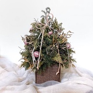 不凋雪松聖誕樹盆栽(附禮盒) 聖誕節、交換禮物、居家裝飾