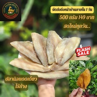 Sun-Dried Nile Tilapia Without Bones Ready To Fry Tight Meat Full Word Dried Tilapia Dried Fish