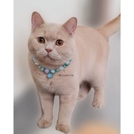 MOONRIX Blue Pastel Sweet Candy Pet Necklace Cats | Handmade Collar
