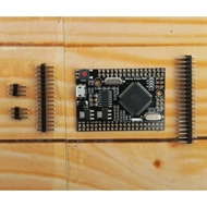 Mega 2560 PRO CH340G ATmega2560-16AU