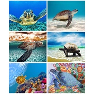 RUOPOTY 60x75cm/50x65cm/40x50cm Frame DIY Frame Oil Painting By Numbers Turtle Animal On Canvas Wall