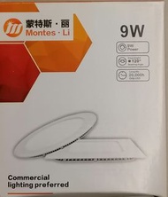 Led 天花燈