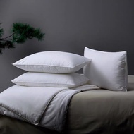 DUDEE 3d Pillow 5-Star Hotel My Comfort Size 19 x 28