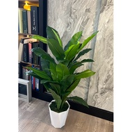 Artificial plants with big pot