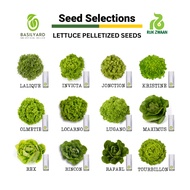 Rijk Zwaan Lettuce Pelletized 100 Seeds | Nutrihydro