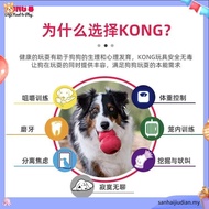 Kong Wild Knots Bear Small/Medium Size (NKR3)