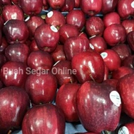 buah apel merah washington 1 kg