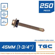 250 PCS Tekscrew 12 x 45 mm for steel or Metal Teks Screw 1-3/4 inches Tek Screw Tetanized 4.8mm x 4