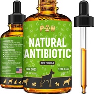 Dog Antibiotics for Infections, Cough, & Teeth Moments | Natural Antibiotics for Dogs with UTIs | Do
