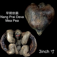 Lp Pinak 龙婆碧纳 Nang Prai Deva Mea Pea 早期椰子 依霸 供奉型