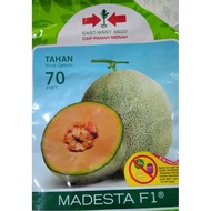 Rock Melon Madesta F1 Repack Panah Merah 1 Biji