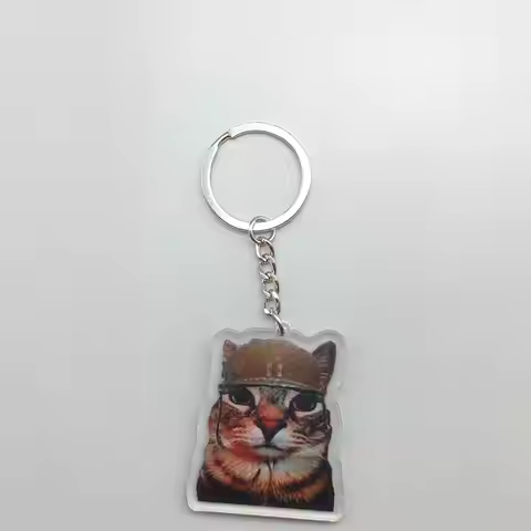 Key Chain Mobile Phone Charm Car Pendant Cute Cat Vomit Meme Dog With Red Mask Meme Black Cat Scream
