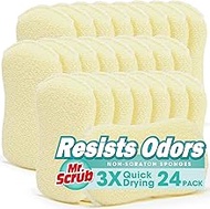 Mr. Scrub Sponges Kitchen Scrub Dish Sponge Scouring Pad, 24 Pcs Cleaning Soap Brush Dishwashing Sup