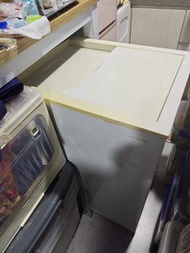 商用小型揭蓋式雪櫃 冰櫃
