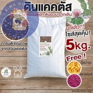 R Ma House ((กระสอบ 5kg )) ดินปลูกแคคตัส ดินกระบองเพชร ไม้อวบน้ำ ผสมสำเร็จพร้อมปลูก กระสอบ 5 กิโลกรั