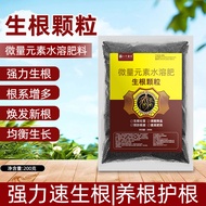 Daily New Arrival/Eight Old Mans Quick Root Granules Large Root Agent Root Strengthening Seedling Ag
