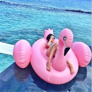 Large Duck Float Flamingo Float 190cm