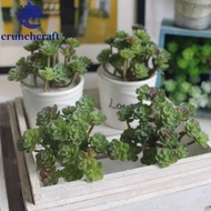 CRUNCHCRAFT​ Artificial Succulent Plant, Plastic Real Touch Mini Artificial Cactus Plant, Simulation