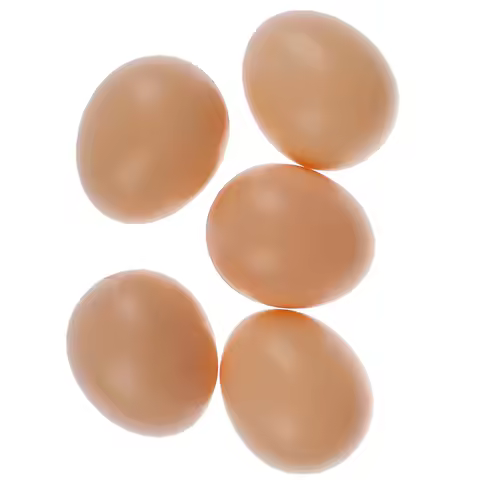 5 PCS Fake Chicken Eggs Poultry Layer Coop Hatching Simulation Graffiti Eggs Dummy Egg Hen Poultry C