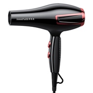 Hair Dryer High-Power Household Hair Dryer Hair Salon Hair Dryer Recommended Hair Salon Hair Dryer H