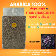 สารกาแฟ Anaerobic​ slow​ Dry​ ขุน​ช่างเคี่ยน