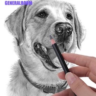 GENERALROOM Sketch Pencil Set, Smooth Writing 10B 12B 14B Graphite Pencil, Journal 4B 5B 6B 7B 8B De