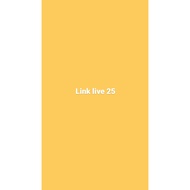 Live link 25