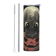 How To Train Your Dragon 20 Oz/550ml Stainless Steel Tumbler with Slider & Straw Lids – Insulated Tr