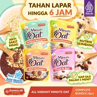 MINUTE OAT Mix All Variants 4pcs x 65gr - Meal Replacement Instant Oatmeal | Granolab Muesli Granola
