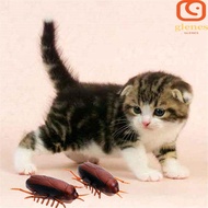 GLENES Cockroach Pet Cat Puppy Novelty Gag Toys Kitten Battery