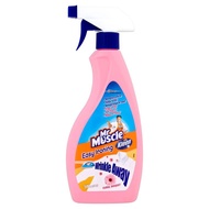 MR MUSCLE EASY IRONING 500ML FLORAL BOUQUET/ BABY FRESH