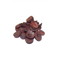 Betel Nut nuts pakku buah pinang ARECA NUT (KALI PAKKU / PINANG MUDA)