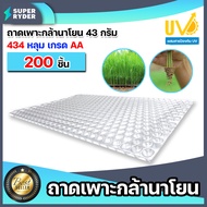 ถาดเพาะกล้านาโยน 434 หลุม แพ็ค 1-700 ชิ้น ถาดเพาะนาโยน เพาะกล้าข้าว ถาดนาโยน ถาดเพาะกล้า ถาดเพาะต้น