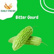 [Hot Sales]Fresh Bitter Gourd 苦瓜