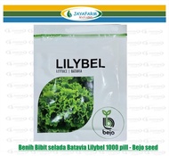 Terbaru!!! Benih Bibit selada Batavia Lilybel 1000 pill - Bejo seed