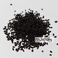 Premium Basil Seeds REPACK 500GR (SUPER QUALITY) / Basil Seed /