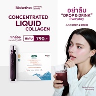 [BCD 1 box] BioActive+ Concentrated Liquid Collagen 10 tubes