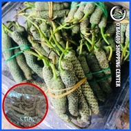 ☎ ۩ ◸ Dried Bunga Ng Gawed - Ikmo | Nganga | Baguio Products (COD)