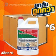 (ยกลังx6แกลลอน) ไกล โฟเซต48 ตราหวีทอง ขนาด 4 ลิตร สารกำจัดวัชพืช กำจัดวัชพืชใบแคบ วัชพืชใบกว้างประเภ