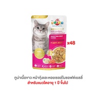 อาหารเปียกแมวโอคิโกะ OKIKO อาหารเปียกแมว ขนาด 70 กรัม 1ลัง (48ซอง)