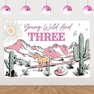 Wonmelody Western Cowgirl 3rd Birthday Decorations Young Wild and Three Backdrop Banner 4.92 * 3.28f
