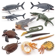 Prehistoric Animal Model Ammonite Ancient Sea Turtle Leeds Fish Tyman Fish Dragon Multiple Ocean Sim