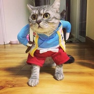 Baju Kucing Cosplay McD | Funny Cat Costume L Size 5kg–7.5kg | Master Chef Uniform Outfit | Baju Kuc