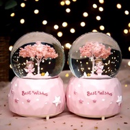 Music and light snow globe, unique birthday gift, unique souvenir snow globe music box