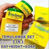 SET TEMULAWAK 3 IN 1