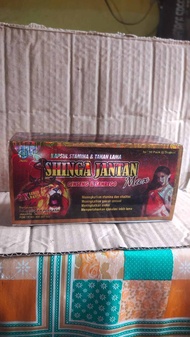 SINGA JANTAN
