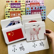 60pcs Big Size Fruit Vegetable Animals Country Flag Cognitive Flash Card Hanyu Hanzi Pinyin Mandarin