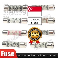 [SG FREE 🚚] 20pcs BS1362 Ceramic fuse for multimeter 6mm×25mm 1362 Filling sand Riot Ceramic fuse 6*